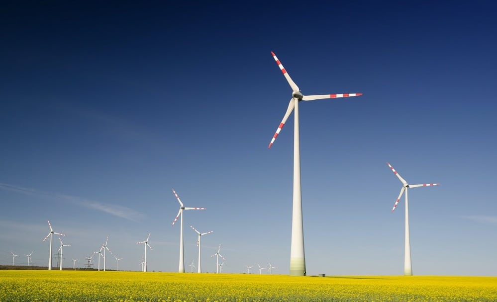 Warmup Nachhaltigkeit Windmühlen